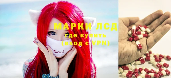 индика Новодвинск