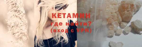 индика Новодвинск