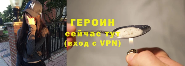 индика Новодвинск
