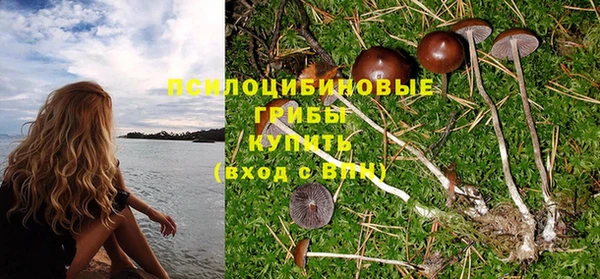 героин Новозыбков