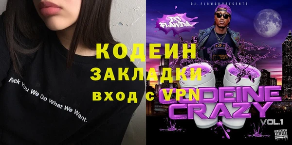 индика Новодвинск