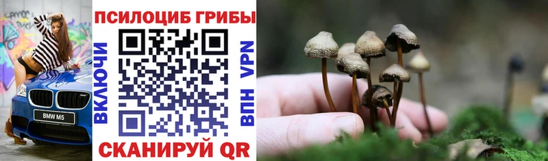Псилоцибиновые грибы Psilocybine cubensis  Павловский Посад 